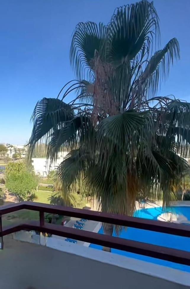Bright Apartment In Puerto Alcudia 알쿠디아 항구 외부 사진